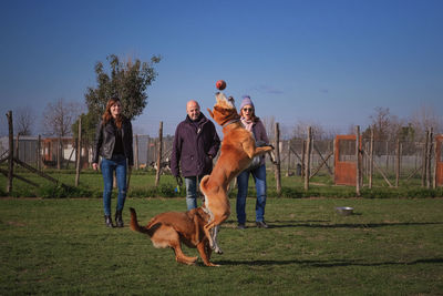 Horses and dog on field against sky