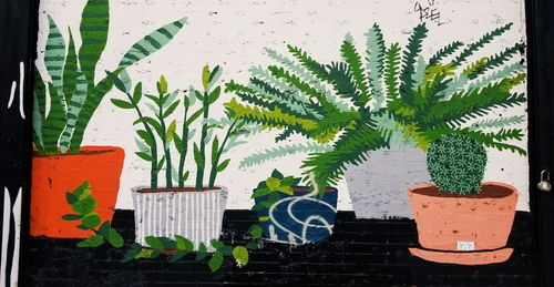 Close-up of potted plant against building