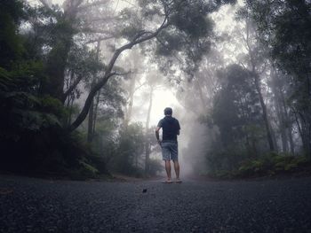 Rear view of man walking on road in forest