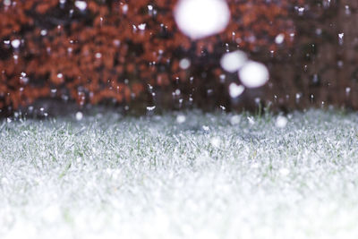 Close-up of snow on land