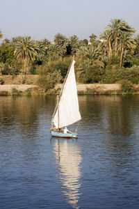 Sailboat sailing on lake against sky