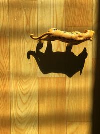 High angle view of a cat lying on wooden floor