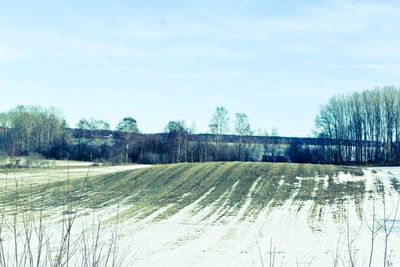 Scenic view of field against sky
