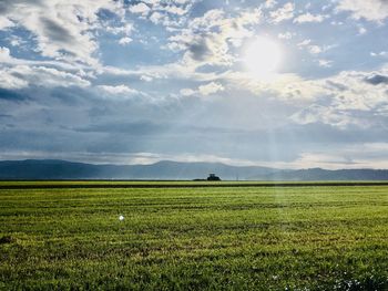 Scenic view of agricultural field against sky