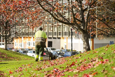 Rear view of man walking on flower tree