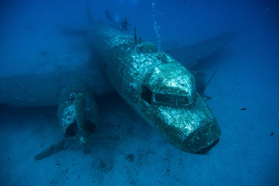 High angle view of scuba divers swimming over airplane wreck