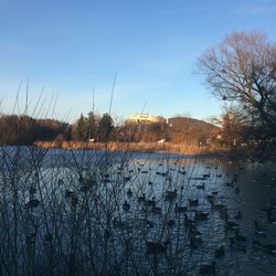 Scenic view of river against sky during winter