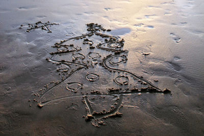 High angle view of footprints on wet sand