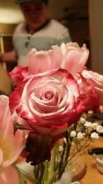 Close-up of pink rose