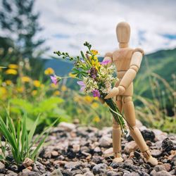 View of statue on plant at field