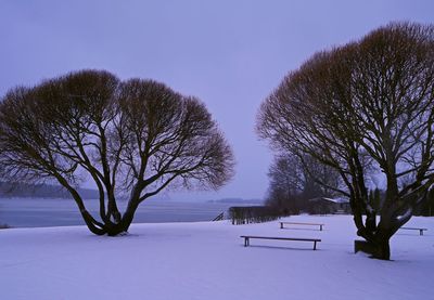 Bare trees on snow covered field against sky