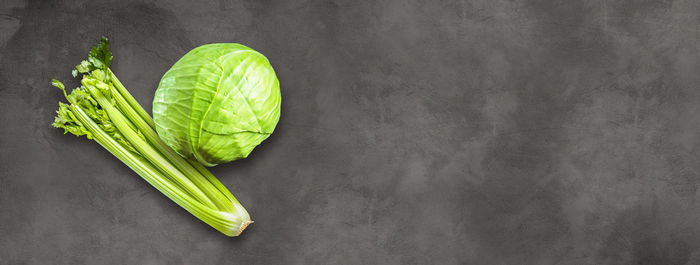 High angle view of green leaf on table