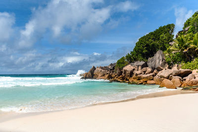 Idyllic empty sandy beach on tropical island