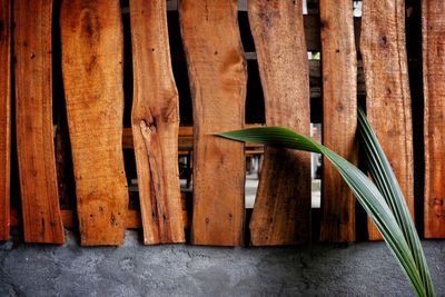 Close-up of wooden fence against wall