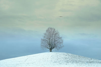 Scenic view of snow during winter against sky