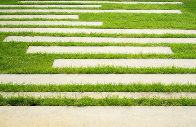 Full frame shot of green field