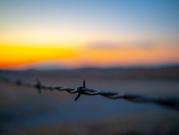 Close-up of barbed wire against sky during sunset