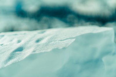 Close-up of snow on leaf