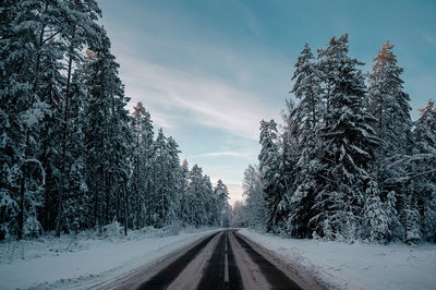 Road amidst trees against sky