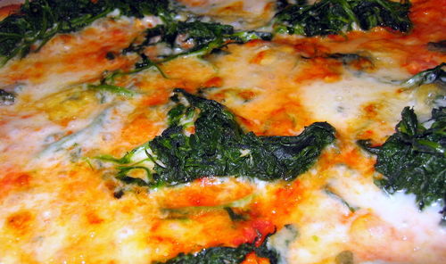 Close-up of fish swimming in water