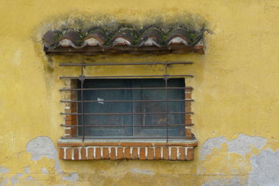 Close-up of window