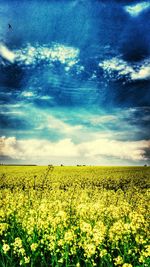 Scenic view of field against cloudy sky