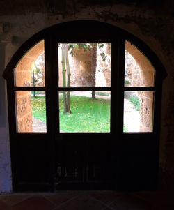 Trees seen through window