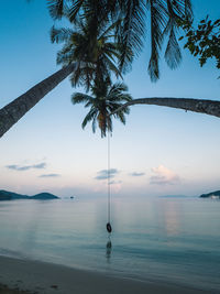 Scenic peaceful beach with overhang coconut palm tree and swing over sea. koh mak island, thailand.
