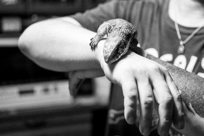 Cropped hand of woman holding lizard