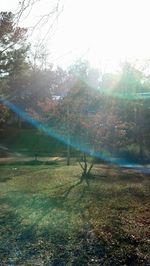 Scenic view of grass and trees against sky