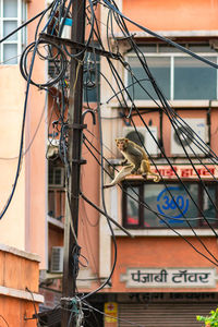 Low angle view of telephone pole against building