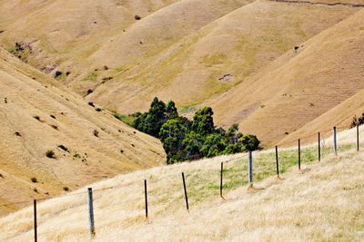 Hilly landscape