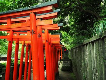 Red gate against trees