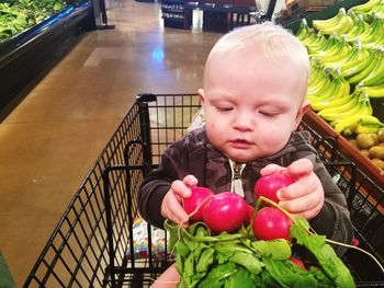 Portrait of cute boy