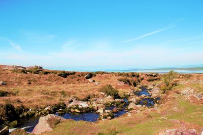 Scenic view of landscape against blue sky