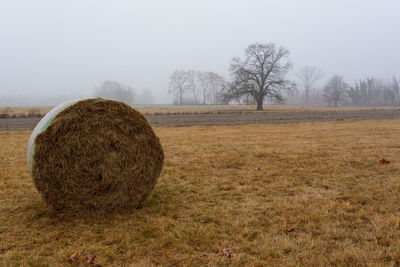 Hay bales on field against clear sky