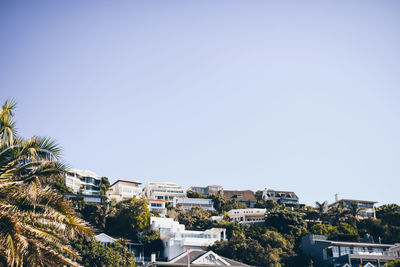 Houses and trees against clear blue sky