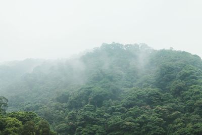 Scenic view of mountains during foggy weather