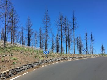 Panoramic shot of road amidst trees against blue sky