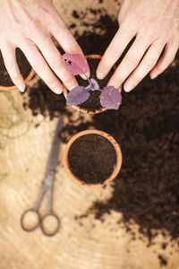 Close-up of hand planting