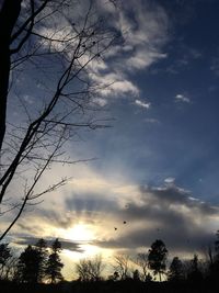 Low angle view of silhouette trees against sky at sunset