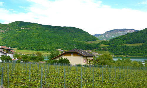 Houses on green mountains against sky