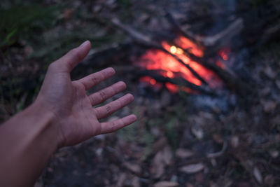 Cropped image of hand against red fire