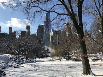 Trees on snow covered field by buildings against sky