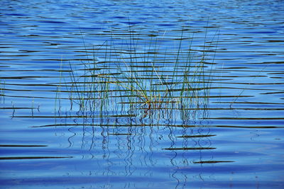 Scenic view of lake against blue sky