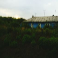 Trees on field against sky