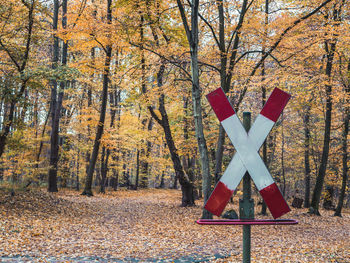 Road sign by trees in forest during autumn