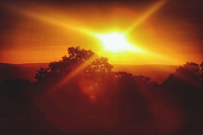 Sunlight streaming through trees during sunset