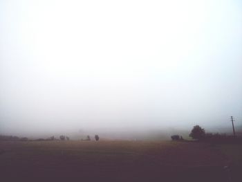 Scenic view of landscape during foggy weather