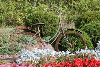 View of flowering plants in garden